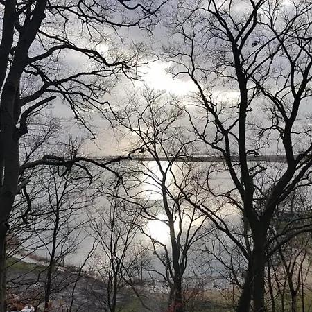 Zalesie * Wicko (West Pomeranian)