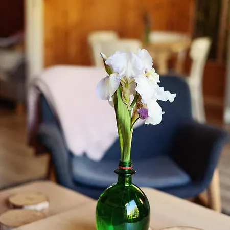 Zalesie Wicko (West Pomeranian)